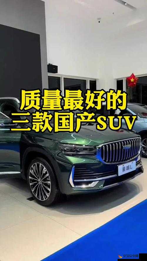 国产 SUV 精二区 69：家用首选，性能与舒适并存